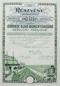 Szegedi Els Borrtkest Rszvnytrsasg rszvny 300 korona 1913