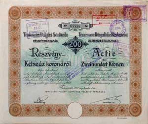 Temesvri Polgri Srfzde Rszvnytrsasg rszvny 200 korona 1913