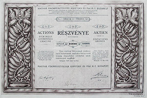 Magyar Finomposztgyr Kopetzky s Fiai Rszvnytrsasg rszvny  25x1000 25000 korona 1923