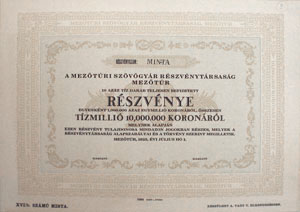 Meztri Szvgyr Rszvnytrsasg rszvny 10000000 korona 1925 MINTA
