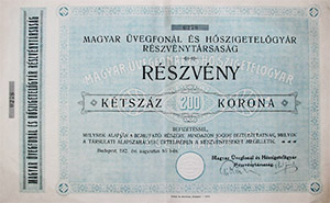 Magyar vegfonl s Hszigetelgyr Rszvnytrsasg rszvny 200 korona 1912