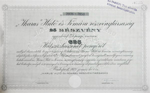 Ikarus Ht- s Fmrugyr Rszvnytrsasg rszvny 25x25 625 peng 1925