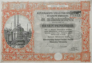 Rimamurny-Salgtarjni Vasm Rszvnytrsasg rszvny 5x50 peng 1925