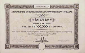 Nagykrsi Gygynvny s Vegyipari Rszvnytrsasg rszvny 100x1000 100000 korona 1924