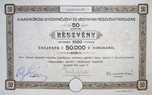 Nagykrsi Gygynvny s Vegyipari Rszvnytrsasg rszvny 50x1000 50000 korona 1924