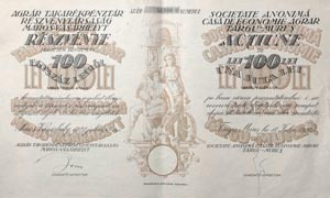 Agrár Takarékpénztár Részvénytársaság Maros-Vásárhelyt részvény 100 lei 1920