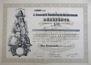 Borosjeni Takarkpnztr Rszvnytrsasg rszvny 250 korona 1911 Borosjen