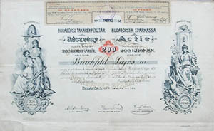 Budaersi Takarkpnztr Rszvnytrsasg rszvny 200 korona 1901 Budars