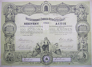 Első Hidegkuti Takarékpénztár Részvénytársaság részvény 100 korona 1899 Hidegkut