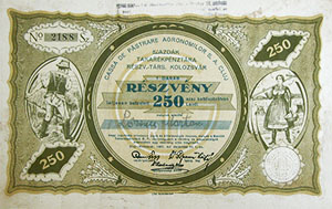 Gazdák Takarékpénztára Részvénytársaság Kolozsvár részvény 250 lei 1927