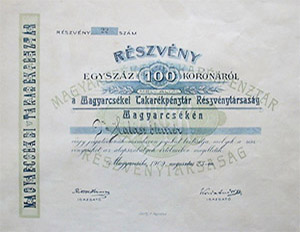 Magyarcskei Takarkpnztr Rszvnytrsasg rszvny 100 korona 1909
