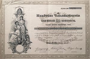 Mezőtúri Takarékpénztár részvény 400 korona 1895