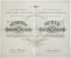 Nagyszentmiklósi Kerületi Gazdaköri Takarékpénztár Részvénytársaság részvény 100 korona 1893 Nagyszentmiklós