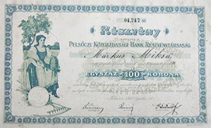 Pelsőczi Közgazdasági Bank Részvénytársaság részvény 100 korona 1912 Pelsőc