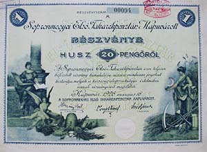 Sopronmegyei Els Takarkpnztr Kapuvrott rszvny 20 peng 1926