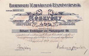 Biharmegyei Tzifarust Rszvnytrsasg rszvny 400 korona 1912 Nagyvrad