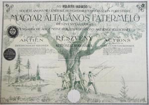 Magyar Általános Fatermelő Részvénytársaság részvény 5x200 1000 korona 1924