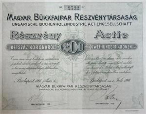 Magyar Bükkfaipar Részvénytársaság részvény 200 korona 1908