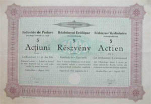 Rzbnyai Erdipar Rszvnytrsasg (Nagyvrad) 5 x 200 lei  1922