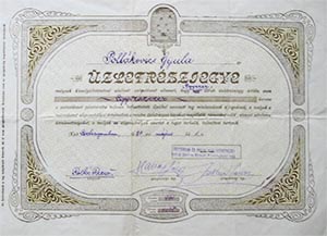 Esztergom és Vidéke Hitelszövetkezet üzletrészjegy 100000 korona 1924