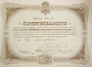 Puj és Vidéke Hitelszövetkezet üzletrészjegy 50 korona 1914 Puj