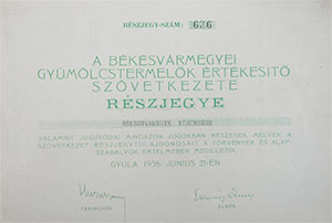 Békésvármegyei Gyülömcstermelők Értékesítő Szövetkezete részjegy 1936 Gyula