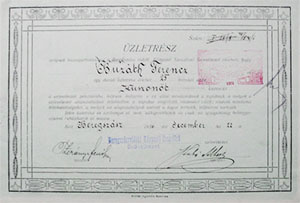 Beregszászvidéki Központi Szeszfőző Szövetkezet üzletrész 25 korona 1916