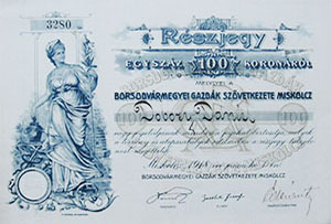 Borsodvrmegyei Gazdk Szvetkezete rszjegy 100 korona 1918 Miskolcz