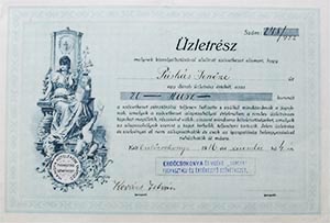 Erdőcsokonya és Vidéke Hangya Fogyasztási és Értékesítő Szövetkezet üzletrész 20 korona 1916