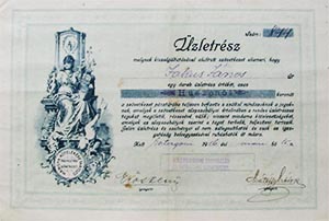 Esztergomi Fogyasztsi s rtkest Szvetkezet zletrsz 25 korona 1916