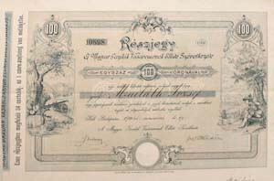 Magyar Gazdák Vásárcsarnok Ellátó Szövetkezete részjegy 100 korona 1904