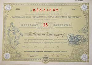 Mezőgazdasági Áruk Fogyasztási és Terményértékesítő Szövetkezete részjegy 25 korona 1907 Kaposvár