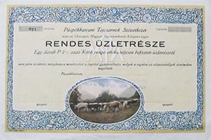 Püspökhatvani Tejcsarnok Szövetkezet rendes üzletrész 2 pengő 1930 körül