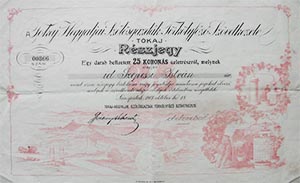 Tokaj Hegyaljai Szlsgazdk Trklyfz Szvetkezete rszjegy 25 korona 1917 Srospatak