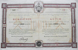Brennbergi Ksznbnya Rszvny-Trsulat rszvny 100 forint 1889 Sopron