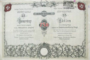 Salgó-Tarjáni Kőszénbánya Részvény-Társulat részvény 25x30 pengő 1935