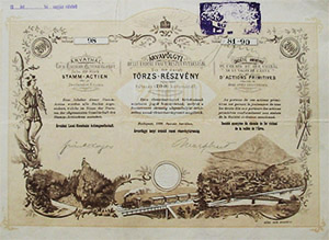 rvavlgyi Helyi rdek Vast Rszvnytrsasg trzsrszvny 10x200 2000 korona 1898