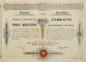 Bks-Csandi Helyi rdek Vast Rszvnytrsasg trzs rszvny 200 korona 1893