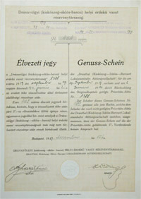 Drvavlgyi (Kiskszeg-Sikls-Barcsi) Helyi rdek Vast Rszvnytrsasg lvezeti jegy 1919