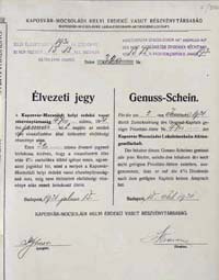 Kaposvr-Mocsoldi Helyi rdek Vast Rszvnytrsasg lvezeti jegy 1931