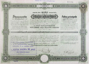 Pusztateny-Kunszentmrtoni Helyi rdek Vast Rszvnytrsasg trzsrszvny 100 forint 1886 Szolnok