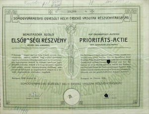Somogyvrmegyei Egyeslt Helyi rdek Vasutak Rszvnytrsasg elsbbsgi rszvny 200 korona 1908