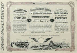 Szabadka-Gombos-Palnkai Helyi rdek Vast Rszvnytrsasg elsbbsgi rszvny 2000 korona 1908