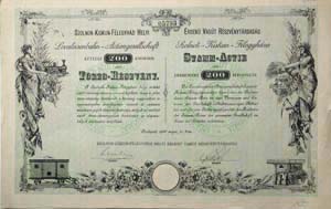 Szolnok-Kiskun-Flegyhzi Helyi rdek Vast Rszvnytrsasg trzs-rszvny 200 korona 1897