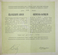 Tiszapolgr-Nyregyhzai Helyi rdek Vast Rszvnytrsasg lvezeti jegy 1904