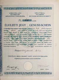 Ungvlgyi Helyi rdek Vast Rszvnytrsasg lvezeti jegy 1919