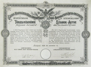 Zsib-Nagybnyai Helyi rdek Vast Rszvnytrsasg trzsrszvny 400 korona 1898
