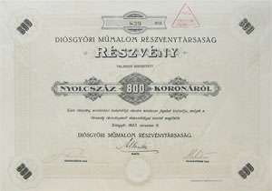 Disgyri Mmalom Rszvnytrsasg rszvny 800 korona 1923