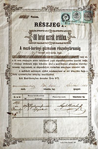 Mező-berényi Gőzmalom Részvénytársaság részvény 80 forint 1872 Mezőberény