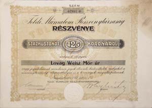 Toldi Műmalom Részvénytársaság részvény 125 korona 1917 Nagyszalonta